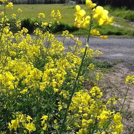 Moulin De La Licorne Saint-Savinien