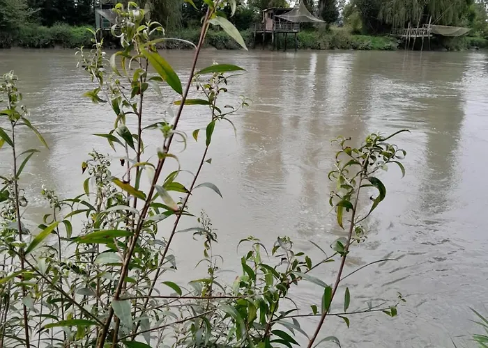 Moulin De La Licorne *